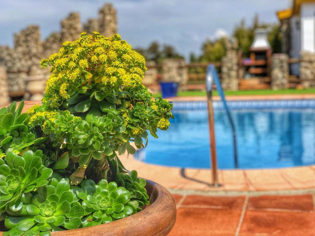 فيلا Jarandalus إل جاستور المظهر الخارجي الصورة